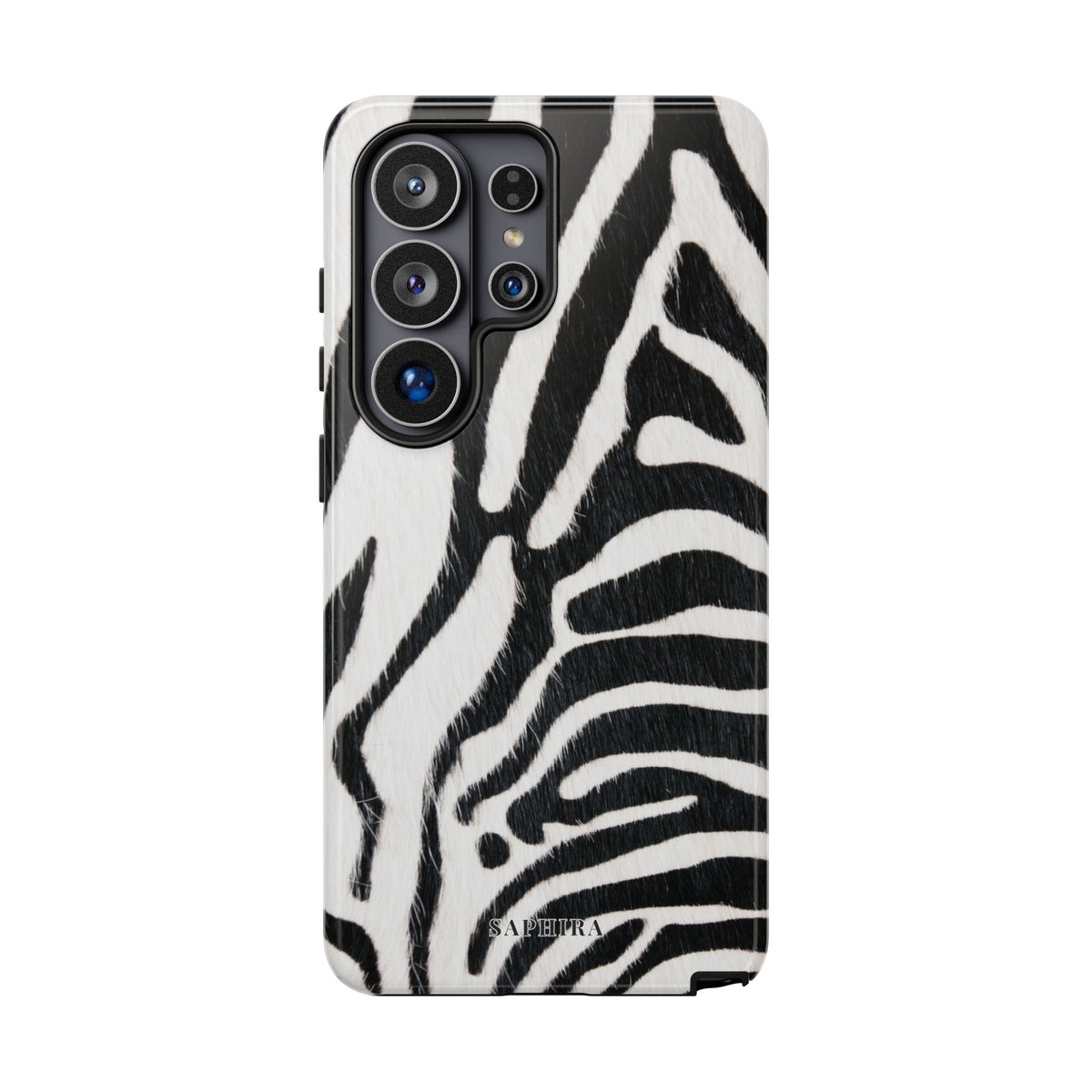 Bold Zebra