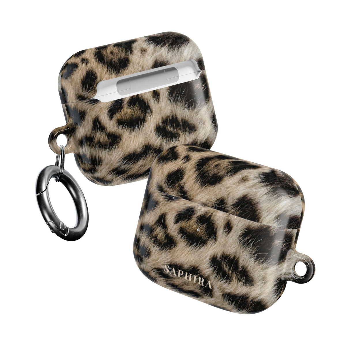 Wild Cheetah