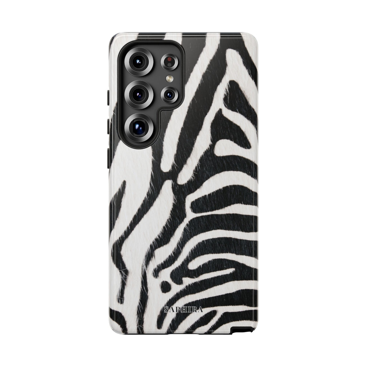 Bold Zebra